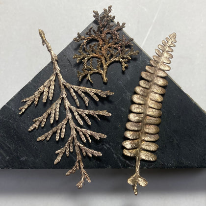 Botanical
