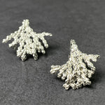 Cedar Frondlet Studs :: Small