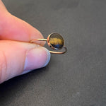 Dainty Modish Ring :: Neutrals